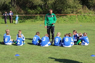 开云电竞中国-中国篮球教练员战术创新能力培养及培训机制研究，全国篮球教练员岗位培训